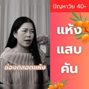 ส่งฟรีทั่วไทย บริน่า (ฺBriina) อาหารเสริม สำหรับผู้หญิง อารมณ์แปรปรวน เหวี่ยงวีน ร้อนวูบวาบ 1 กล่องมี 10 แคปซูล