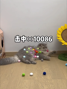 WaggyWaggy Cat Teaser Gun Colourful Plush Ball Bounce Bouncy Play Pistol Toy Soft Interactive 猫咪玩具毛绒球发射器 T0009