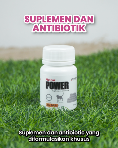 Micromax Flu Cat Power Obat Flu Kucing