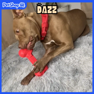 DAZZ กระดูกขัดฟันสุนัข ที่ขัดฟันหมา ยาว 11 / 20 cm ของเล่นลูกสุนัข สุนัขใหญ่ Dog Toys Chew Bone for Teething พร้อมส่งในไทย