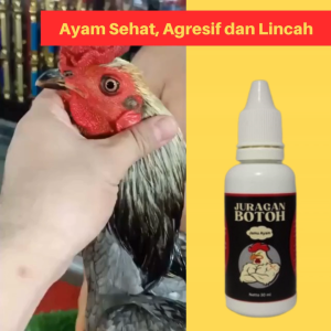 Vitamin Ayam Aduan Juragan Botoh Untuk Harian