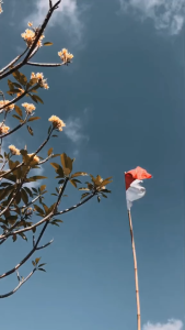 Paket Bendera Merah Putih 10 Pcs: Solusi Dekorasi Acara
