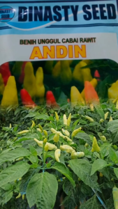 Andin 10gr  Benih Unggul  Cabai Rawit Benih Inti ORIGINAL