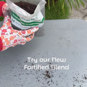 2-liter Soil-less Potting Mix For Flowering and Fruiting Plants | Infused with Bird Guano that Induce Flowering and Bigger Fruits