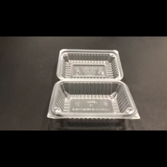 [600pcs/1000pcs] CHEAPEST Jishan PP2 / Burger Box /Tapau Disposable ...