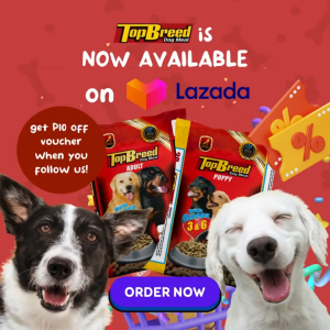 Top Breed Puppy 20kg