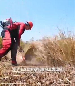 High Quality Japan 4 Stroke HONDA Grass Cutter: A Premium Gasoline Trimmer & Free Nylon Blade