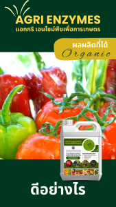 AGRI ENZYMES 100 ml แอกกริเอนไซม์พืชเพื่อการเกษตร เอนไซม์น้ำหมักชีวภาพ