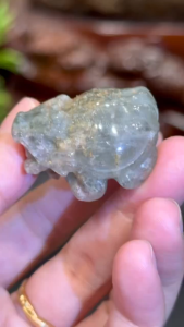 Green phantom hand craft dragon turtle💯天然满盆四季幽灵招财龙龟    高(Height): 2.2cm  宽(Width): 2.6x3.3cm  重(Weight): 25g