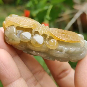 Super Rare High Quality Light Green and Yellow Natural Type A Jadeite Jade crafted with Dragonfly and Ruyi as Pendant certificate weighs 60.60 grams measurement 60 * 32.1 * 22.3 mm (pendant260)
