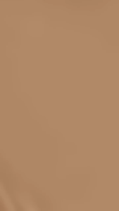 STUDIO TROPIK Foundcealer 2 in 1 Foundation & Concealer