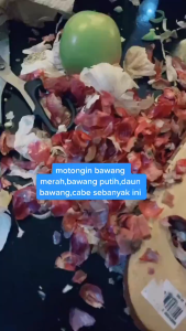 Mini Chopper Penghalus Bawang Cabe Daging Speedy Blender Tarik Pencacah Penghancur Gilingan Bumbu