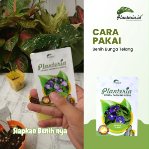 Benih Bunga Telang Kemasan Urbanfarming Bersertifikat 5 butir