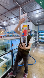 อุปกรณ์ถ่ายน้ำตู้ปลาที่ดูดขี้ปลา กาลักน้ำ BOYU Instant SIPHON GRAVEL CLEANER (BY-28)