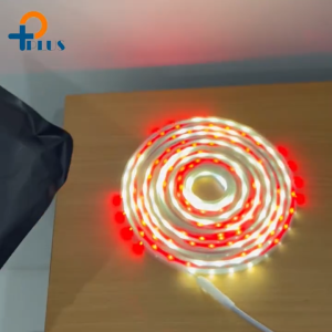 Lampu led idul fitri lampu Ramadhan strip RGB 6 Warn 2835 5050 10m & 8m / 17 Agustus Hari Nasional/Bendera Indonesia Merah Putih Lampu Hias/Lampu hias bendara hari nasional