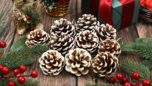 NUVOX Christmas Natural Pine Cones for Xmas Tree Decorations Snow Style with Rope for Home Decor Gifts