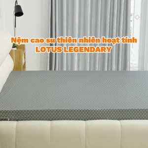 [DUY NHẤT 18-23/12 - MUA 1 TẶNG 7] Nệm Cao Su Thiên Nhiên Hoạt Tính Vạn Xuân Lotus Legendary Êm Ái Đàn Hồi Tự Nhiên Thành Phần Than Hoạt Tính Giúp Nệm Có Độ Thoáng Mát Tối Ưu Kháng Khuẩn Kháng Nấm Mốc Kháng Côn Trùng Và Khử Mùi Hiệu Quả