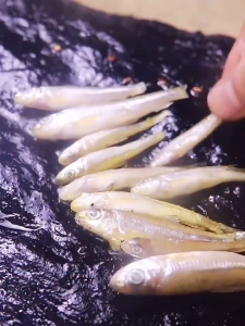 1 kg Khô Cá Cơm Loại 1 Ngon Mềm Vị Ngọt Thanh Tự Nhiên--- ĐẠI NGƯ