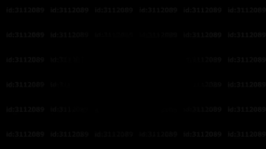 PROMO 3in1 Tempered Glass Vivo Y28 4G Layar Clear Free Lens Camera Dan Garskin Handphone