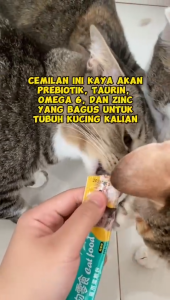 Snack kucing cemilan kitten hewan peliharaan 15g/Stripcreamy treats cat snack untuk anak kucing dan kucing dewasa