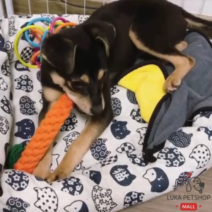 Luka⭐พร้อมส่ง💯 ของเล่นสุนัข เชือกขัดฟัน รูปสัตว์ ของเล่นหมา วัสดุผ้าฝ้าย สะอาดปลอดภัยต่อสัตว์เลี้ยง ขัดฟันสุนัข