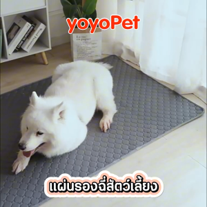 hooh pet🌈แผ่นรองฉี่สุนัข แผ่นรองฉี่สัตว์เลี้ยง ผ้ารองปัสสาวะหมา เเมว กระต่าย ซักใช้ซ้ำได้ ซึมซับได้ดี มีกันลื่น