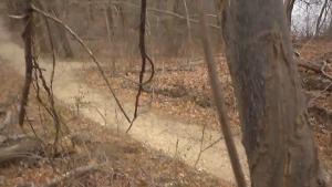 Eyeskey Smartphone Holder untuk Teropong Binocular Telescope - CM4 - Black