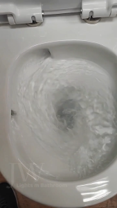 SG Local Seller & Authorized Dealer PUB Approval One-piece Toilet Bowl TORNADO Flushing GEBERIT System (S-Trap 150mm/250mm / P-Trap)