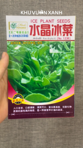 Hạt giống rau Bông tuyết (rau Kim cương rau Đá pha lê) - Nguyên gói khoảng 300 hạt hàng Trung