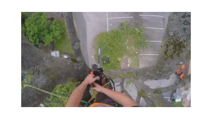 ECHO CS2511TES 10" MESIN GERGAJI POKOK MACHINE CHAINSAW (2 LEJANG / 2 STROKE)