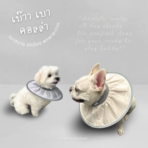 Bao Bao เบ้าา เบา คอลล่า คอลล่ากันเลีย น้ำหนักเบา พับเก็บได้ กันน้ำ