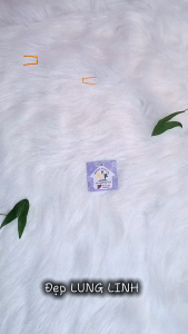 Gắp tóc hình chữ nhật thạch trong long lanh kẹp càng cua Hàn Quốc cào tóc xinh đẹp - thương hiệu Vợ Chồng Tôi