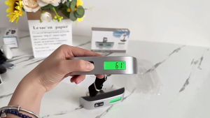 SG Stock Luggage Weighing Scale Portable Green Light Hand Carrying Scale Steel Hook Hanging Scale Cross border Small Package