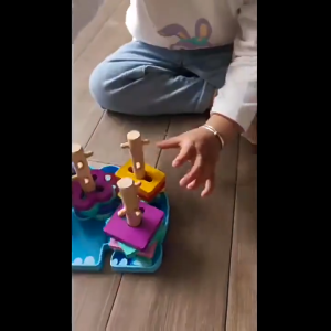 Wooden Sorting & Stacking Toys for Boys Girls Color Recognition Shape Sorter Preschool Kids Wood Gifts