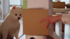 Aqara Smart Pet Feeder C1 Zigbee 3.0