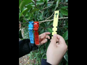 100pcs Colorful Plant Label Strips PVC Hanging Tree Tags Waterproof Garden Plant Branches Markers