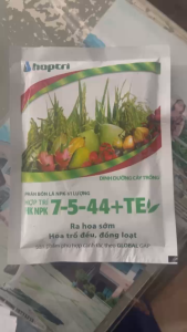 Phân bón lá NPK 7.5.44 HỢP TRÍ dùng tạo mầm già lá kích ra hoa đồng loạt (Sầu riêng nho chôm chôm rau màu...)
