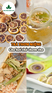 Set 5 -10 gói trà thơm miệng mix sẵn trà thảo mộc ngăn ngừa hôi miệng gồm: bạc hà chanh vàng táo đỏ lá nếp