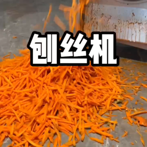 Electric Grater Pumpkin Radish Potato Cassava Slicer Vegetable Grater Farm Chopper Slicer 220w