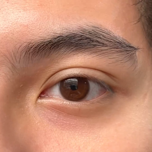 [2025NEW]  Identity Extrovert Brown With Biomoist Softlens Natural Color Minus Harian
