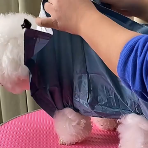 Túi trùm sấy khô lông cho Chó Mèo (mẫu mới) - Love Pets Shop