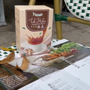Teh Halia / Bentong Ginger Milk Tea 文冬姜拉茶
