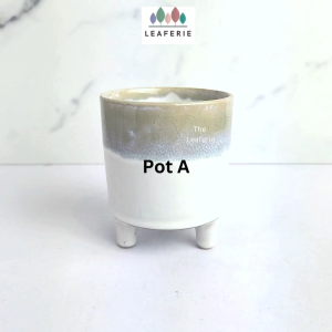 The Leaferie Petit Pots (Series 14) small mini plant pots. flowerpot . flower pot . planter . planters . Succulents