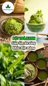 Bột trà xanh nguyên chất 500g ( Bột matcha sấy lạnh giúp thanh nhiệt cơ thể) - Chợ Thảo Dược Việt Trà Xanh Hỗ Trợ Tiêu Hóa Và Làm Đẹp Bột Trà Xanh Việt Nam Đóng Túi Nửa Kí - Lazada