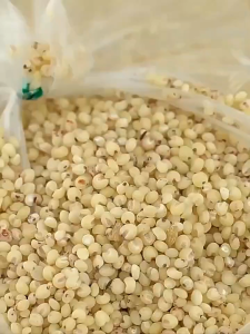 GIEVSZHE Rice storage box Food storage container Rice dispenser With Sealed cover Storage Convenience thick food grade pp