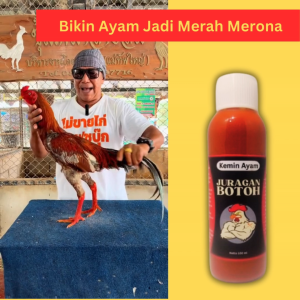 Kemin Merah Juragan Botoh Untuk Badan Dan Kaki Ayam Aduan Agar Merah Merona