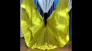 Belly Dance Golden Wing Props Adult Performance Wing Golden Wing Dancing Dress 360 of Gold Wings