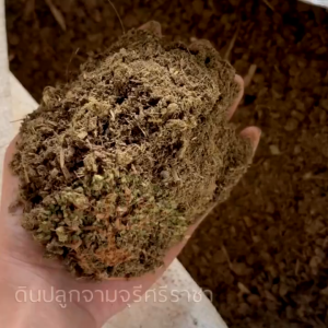 ขี้วัวนมบดละเอียด (900 กรัม) ปุ๋ยคอก ขี้วัวนม (กรุณาสั่งสินค้าไม่เกิน 10 ถุงต่อ 1 ออเดอร์นะคะ)