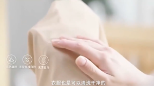 Underwear Washing Liquid Lingerie Soap Laundry Detergent Underwear Menstrual Blood Remove Stains Antibacterial 专用女士去血渍去黄除菌抑菌持久留香洗衣液 内衣洗涤剂 300ml