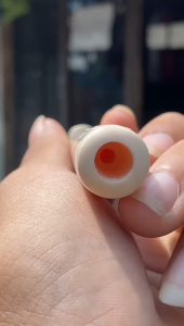 pipa gg asli lokal panjang 10cm semileng bahan merah bening mulus